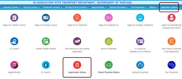 driving licence status