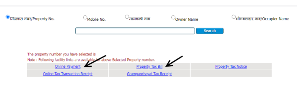 pay gram panchayat property tax