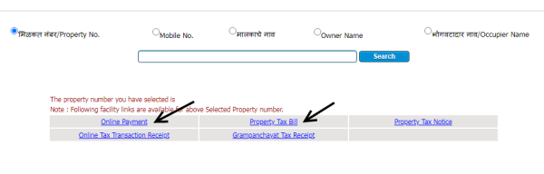 how-to-pay-gram-panchayat-property-tax-online-schemes-of-indian