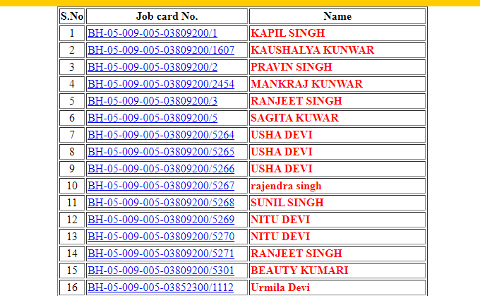 mgnerga job card list data